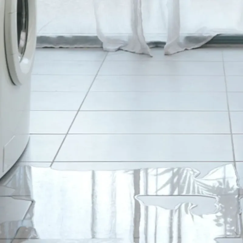 Appliance Leak Cleanup in Wentworth, NC