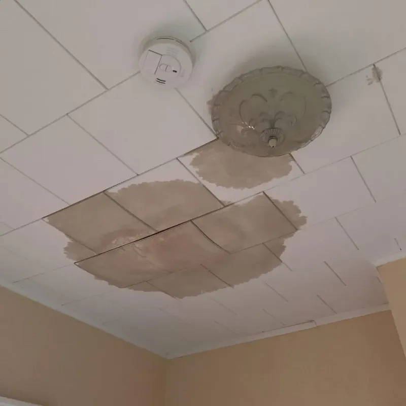 Ceiling Water Damage Repair in Wentworth, NC