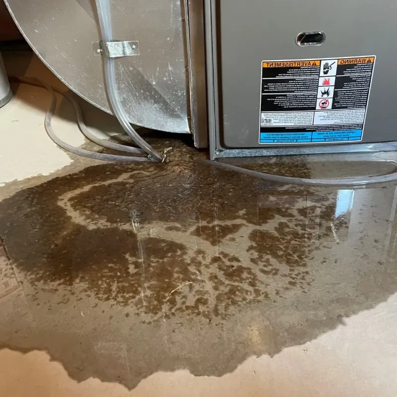Pipe Burst and Leak Restoration in Wentworth, NC