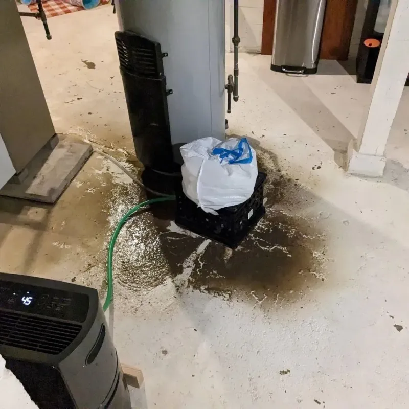 Sewage Backup Cleanup Service in Wentworth, NC